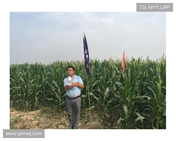 扬州队再创辉煌全面解析球队崛起之路与未来发展新篇章 扬州队再创辉煌全面解析球队崛起之路与未来发展新篇章